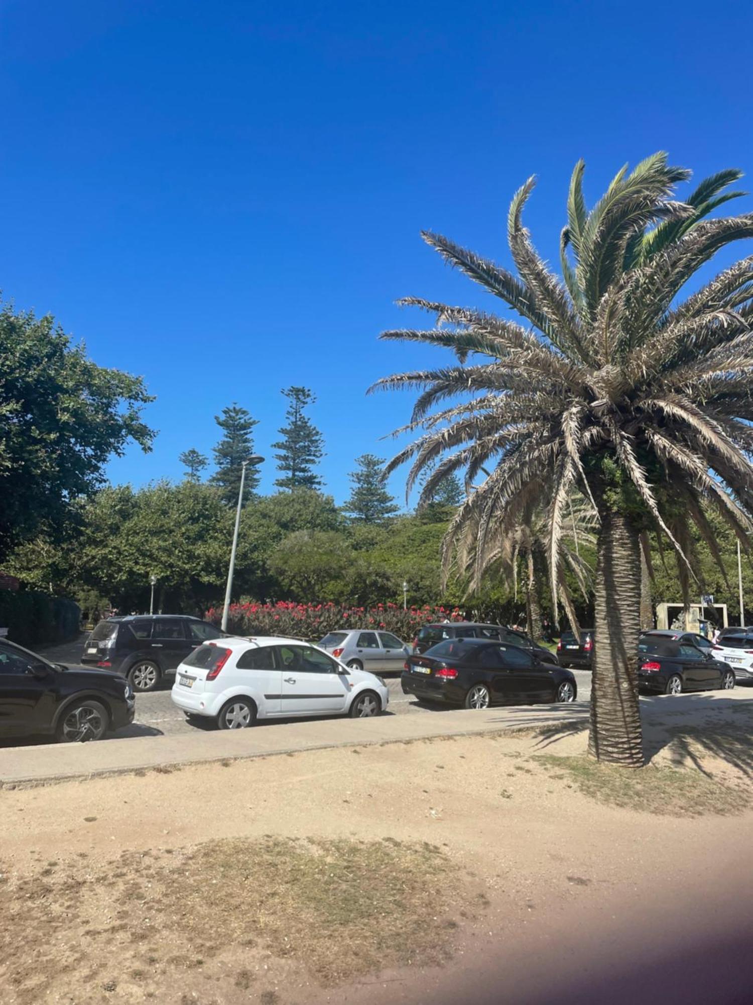 Vrs - Porto Beach Flat Kültér fotó